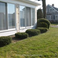Click to view album: Cottage Ave. Harwich Port