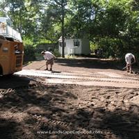 Click to view album: Stump Removal and Yard Renovation