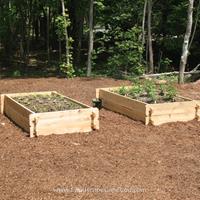 Click to view album: Retaining Wall and Raised Planting Beds