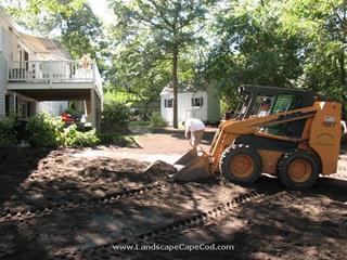 Stump Removal and Yard Renovation
