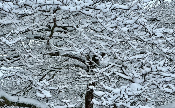 Communities We Service